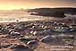 Elephant seals at sunset hauled out on beach near Piedras Blancas, San Simeon, California