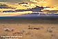 Sunbeams through storm clouds at sunset over the high plains of southern Colorado