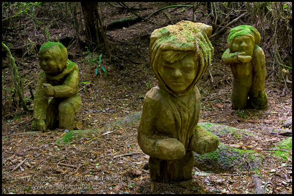 redwood carvings