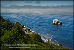 Picture: Coastal fog over the rugged hills and ocean, Redwood National Park, California