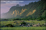 Photo: Gold Bluffs Beach, Prairie Creek Redwoods State Park, Humboldt County, CALIFORNIA