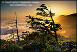 Picture: Sunset on the Lost Coast, near Shelter Cove, Humboldt County, CALIFORNIA