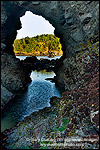 Picture: Arched rock at low tide, Trinidad State Beach, Humboldt County, California