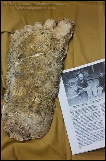 Photo: Bigfoot artifacts and footprint casts on display at the Willow Creek - China Flat Museum, Willow Creek, California