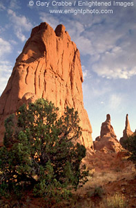 Sunset light on red rock spires, Kodachrome Basin, Southern Utah