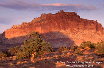 Sunset light on red rock cliffs, Capitol Reef National Park, Utah