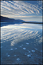 Photo: Desert Reflection, 