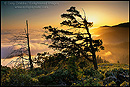 Picture: Sunset and fog on the Lost Coast, Humboldt County, California