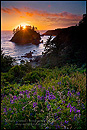 Photo: Sunset over Trinidad State Beach, Humboldt County, California