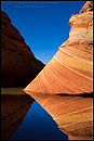 Picture: Sandstone Reflection at The Wave, Coyote Buttes, Paria - Vermillion Cliffs Wilderness, Arizona