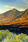 Sunrise light on the eastern slope of the Sierra Nevada near Bishop, California