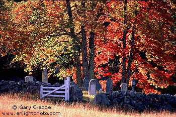 Fall Colors and family graveyard, White Mountains, New Hampshire