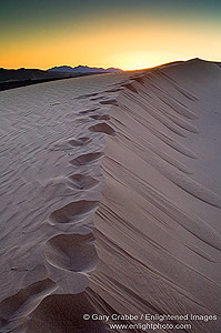 Footsteps in sand dune at sunrise, North Algodones Dunes Wilderness, Imperial County, California