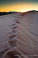 Footsteps in sand dune at sunrise, North Algodones Dunes Wilderness, Imperial County, California