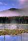 Misty fall morning at pond near Lake Harris, Adirondack Mountains, New York