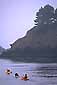 Sea kayaking on the Mendocino coast, near Little River, California