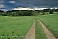 Image: Tire wheel tracks trough green grass field in spring, Santa Clara County, California