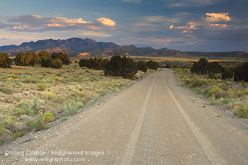 Picture: tire tracks on empty dirt road in the high desert near Santa Fe, New Mexico
