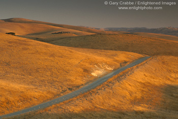 Picture: Country Road through golden hills at sunset, Altamont Pass, California