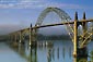Picture: Yaquina Bay Bridge, (Arch / suspended deck) and fog, Newport, Oregon