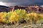 Fall colors in trees along the edge of Courthouse Wash, Arches National Park, Utah