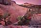 Evening light over sandstone wash near Checkerboard Mesa, Zion National Park, Utah