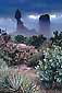 Stormy morning mist at Balanced Rock, Arches National Park, Utah