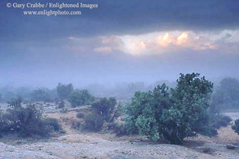 Mist over the high desert after a storm, near Balanced Rock, Arches National Park, Utah