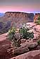 Pre-dawn light on a clear morning over red rock cliffs, Island in the Sky, Canyonlands National Park, Southern Utah