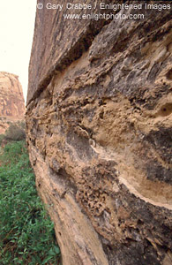 Rock detail, Grand Wash, Capitol Reef National Park, Southern Utah