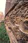 Rock detail, Grand Wash, Capitol Reef National Park, Southern Utah