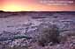 Sunrise over the Boulder Creek area, Grand Staircase - Escalante National Monument, Utah