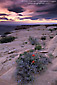 Picture: Stormy sunset from atop a high desert mesa, Muley Point Overlook, Glen Canyon NRA, Utah