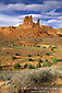 Picture: Red rock mesa and butte and desert flora in spring, Valley of the Gods, Utah