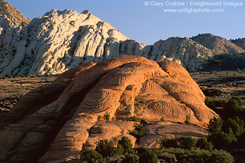 Image: Red and white sandstone formations, Snow Canyon State Park, near St. George, Utah's Dixie, Utah