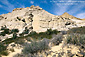 Image: Desert flora below Whiterocks Ampetheater, Snow Canyon State Park, near St. George, Utah's Dixie, Utah