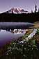 Mount Rainier (volcano) reflected in alpine lake at sunrise, Mount Rainier National Park, Washington