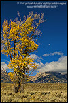 Picture of Moon rising over mountains. Grand Teton National Park, WYOMING