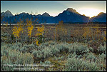 Picture of Moonrise at sunset over the Grand Tetons, from Targhee NF, on the west slope of the Teton Range, WYOMING