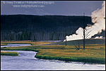 Picture: Steam from hot spring at edge of the Firehole River at sunset, Biscuit Basin, Yellowstone National Park, WYOMING