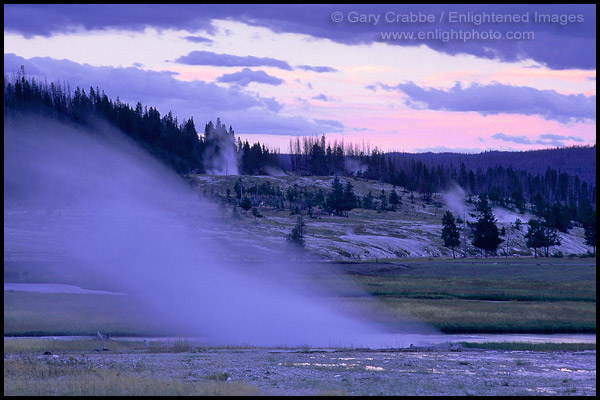 Photo: Steam venting from hot spring in evening at Biscuit Basin, Yellowstone National Park, Wyoming