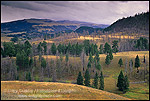 Photo: Late summer storm over burnt forest, Tower-Roosevelt Region, Yellowstone National Park, WYOMING