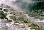 Photo: Minerva Spring, (detail) Mammoth Hot Springs Region, Yellowstone National Park, WYOMING
