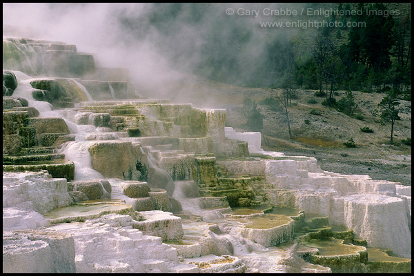 Photo: Minerva Spring, (detail) Mammoth Hot Springs Region, Yellowstone National Park, Wyoming