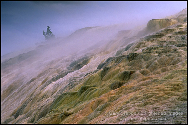 Photo: Painted Terrace, Minerva Hot Spring, Mammoth Hot Springs Region, Yellowstone National Park, Wyoming