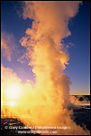 Photo: Fountain Geyser at sunset, Fountain Paint Pot area, Yellowstone National Park, Wyoming