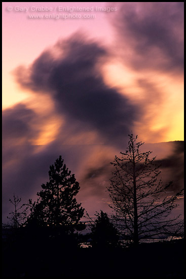 Photo: Steam from Fountain Geyser, Yellowstone National Park, Wyoming