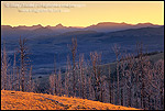 Photo: Sunrise over the Lamar Valley area from Mount Washburn, Yellowstone National Park, Wyoming