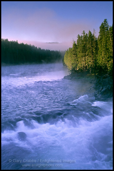 Photo: Misty Fall morning along the Yellowstone River, Canyon Region, Yellowstone National Park, Wyoming